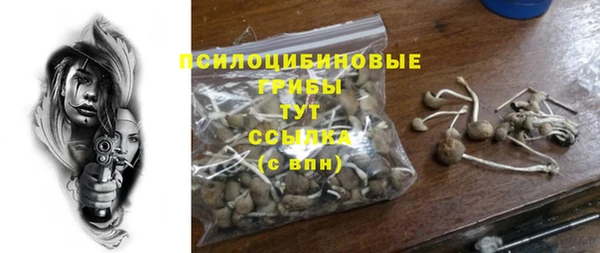 ешки Переславль-Залесский
