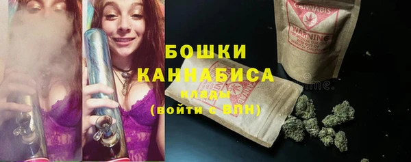 a pvp Болотное