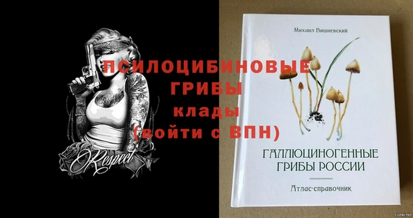 ешки Переславль-Залесский