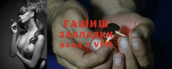 сатива Пересвет