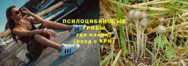 сатива Пересвет