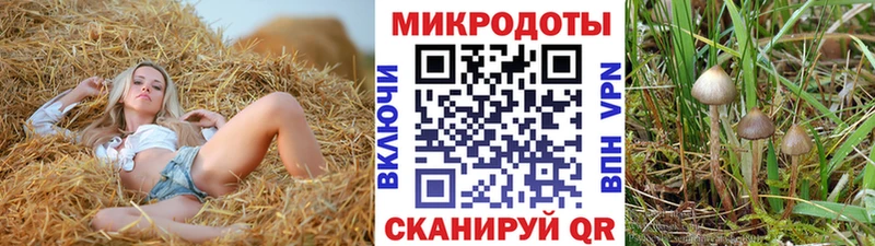 где продают наркотики Фёдоровский мега как зайти Галлюциногенные грибы Psilocybe